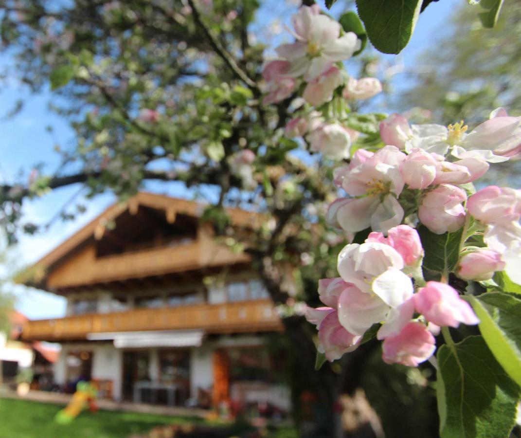 Appartementhaus Schirsner - Direkt Am See & Am Kurpark Berwick-Upon-Tweed Ngoại thất bức ảnh